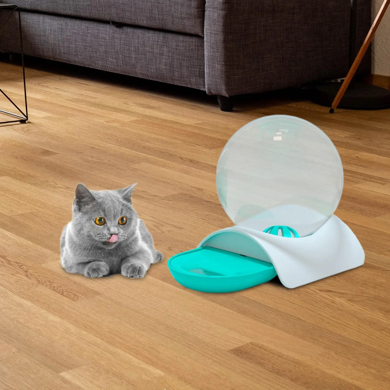 Distribuitor de apă Pet Feeder Pahar Transparent cu Balonul Rotund Consumabile de Capacitate Mare Accesorii Castron de Băut pentru Kitty Cadouri Grădină Imagine 1
