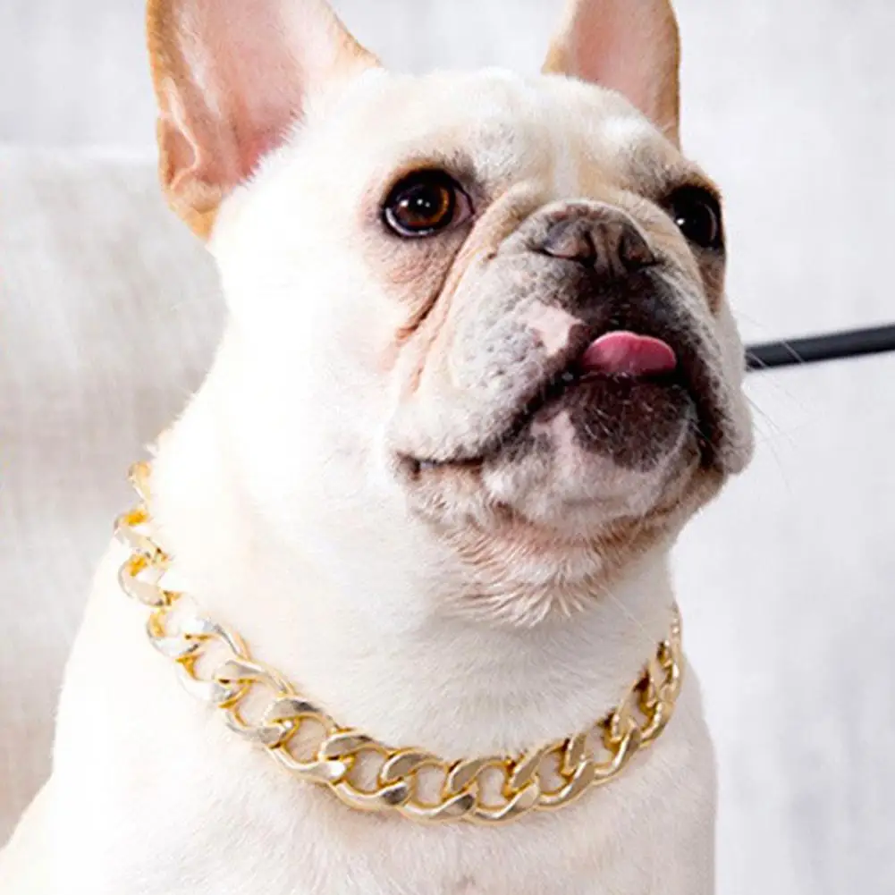 Animale De Companie Câine Bulldog Francez Guler Reglabil Moda Colier Lanț Curea De Gât Pentru Mici Accesorii Pentru Câini De Talie Medie Imagine 2