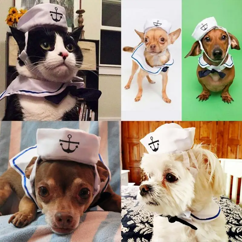 2018 Minunat Elegant Navy Și Stil Marinar Pălărie Plus Eșarfă Costum Pentru Câini Și Pisici De Companie Și E Marinei Mantie Imagine 4