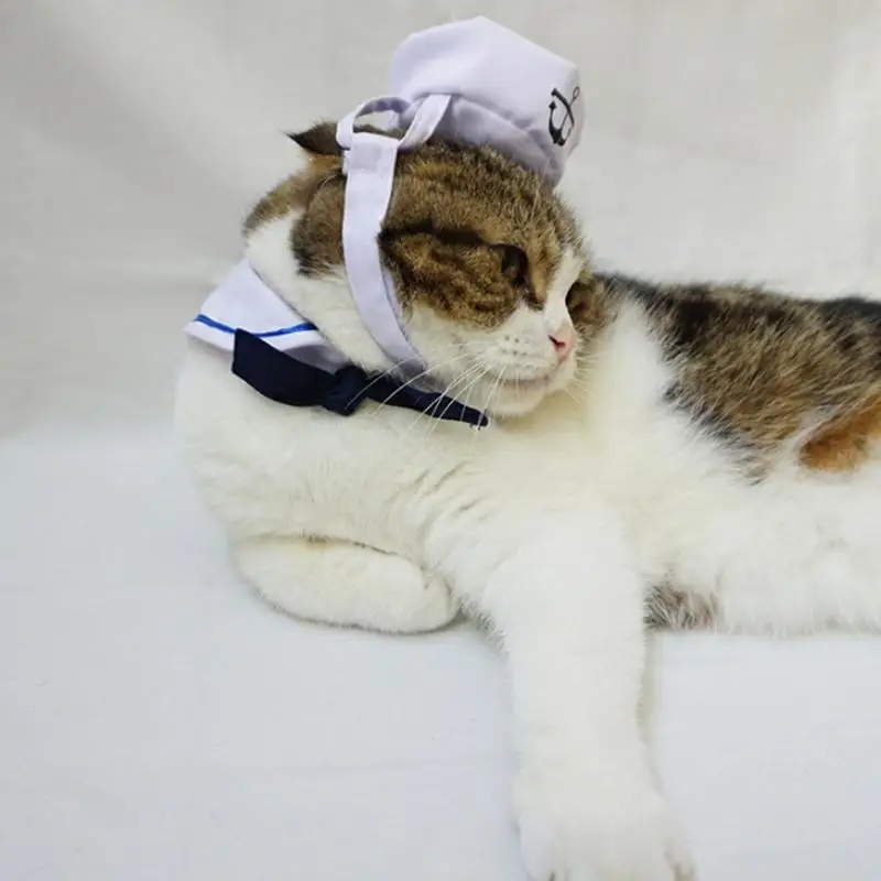 2018 Minunat Elegant Navy Și Stil Marinar Pălărie Plus Eșarfă Costum Pentru Câini Și Pisici De Companie Și E Marinei Mantie Imagine 5